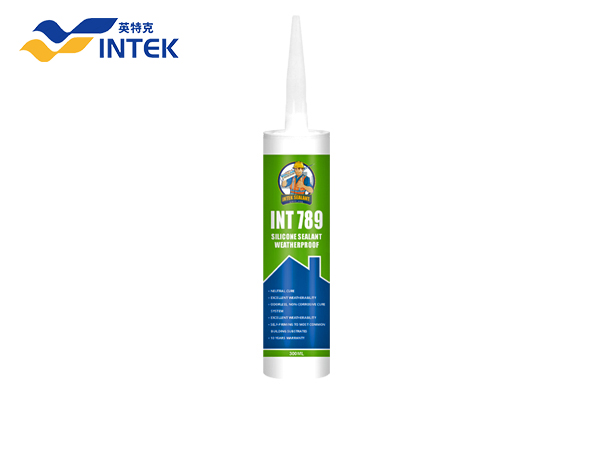 INT-789 MULTI PURPOSE NEUTRAL SILICONE SEALANT